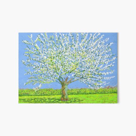 SpringDavid Art Board Print