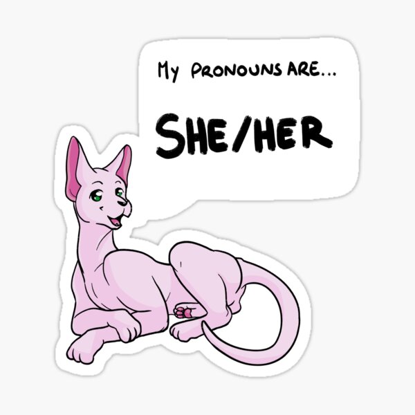 "Pronoun Cat She/Her" Sticker by sceptagon Redbubble