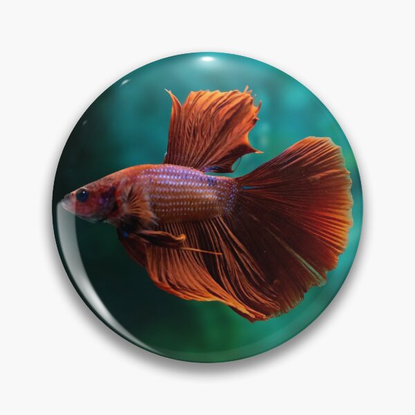 Item preview, Red Halfmoon Betta Splendens designed and sold by Weston  Westmoreland.