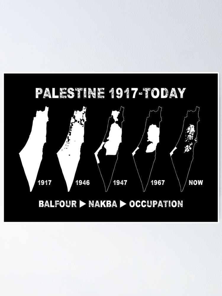 Palestine Hoodies en sweaters | NL
