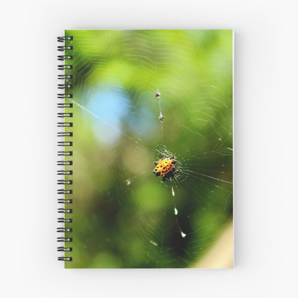 Item preview, Macro Orb Weaver designed and sold by BennyFields.