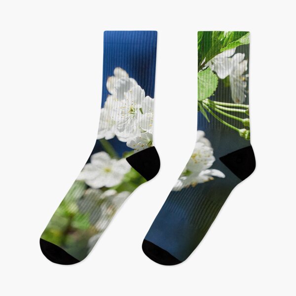 Item preview, White cherry flowers 1 designed and sold by Jouko Lehto Photography.