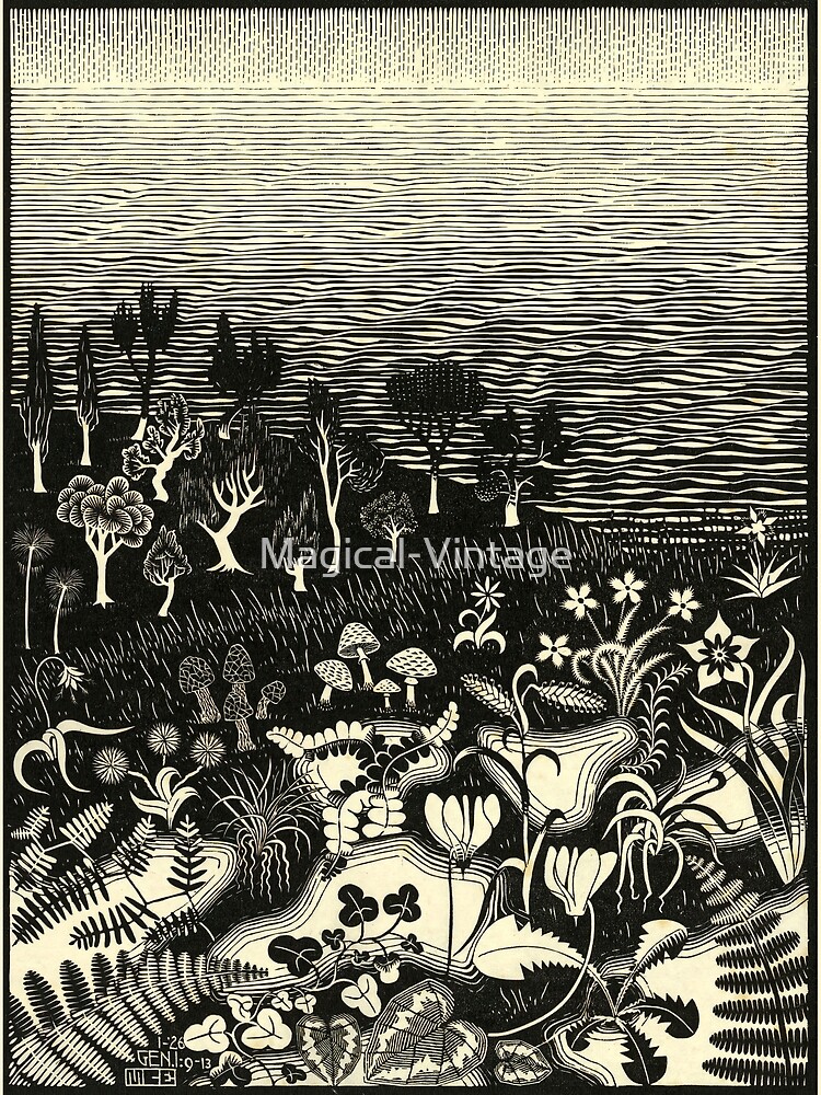 Disover M.C. Escher - The 3rd Day of the Creation, 1926 Premium Matte Vertical Poster