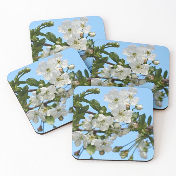 Item preview, White cherry flowers 2 designed and sold by Jouko Lehto Photography.