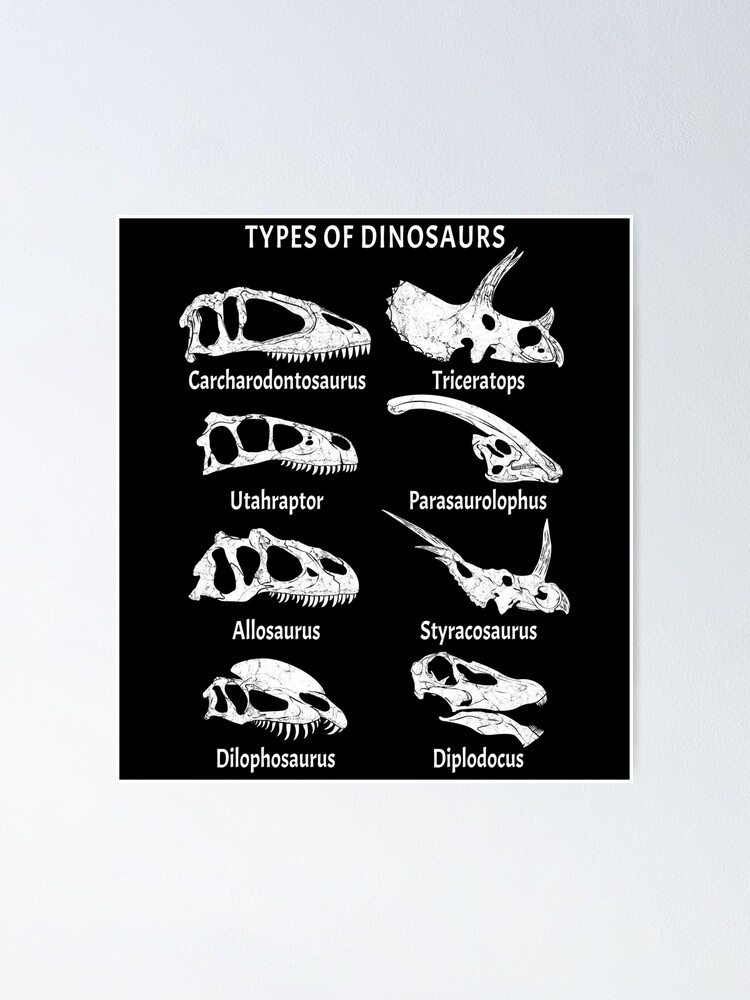 Poster de fossiles de dinosaures