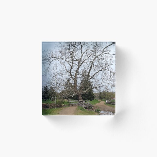 Item preview, The Road Less Traveled designed and sold by Lynney.