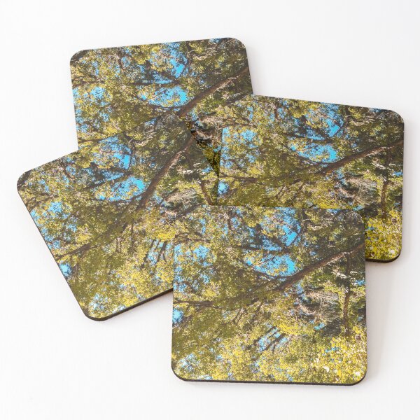 Item preview, Trees at the sky designed and sold by Mauricio Santana.