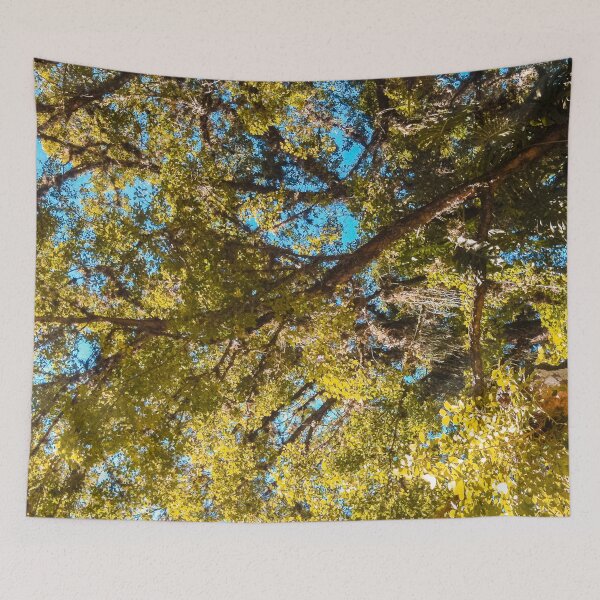 Item preview, Trees at the sky designed and sold by Mauricio Santana.