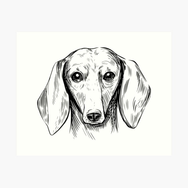 Details about   DAPPLE DACHSHUND Blind Date Dog Pop Art Print 13 x 19 KSAMS Painting Poster Size 