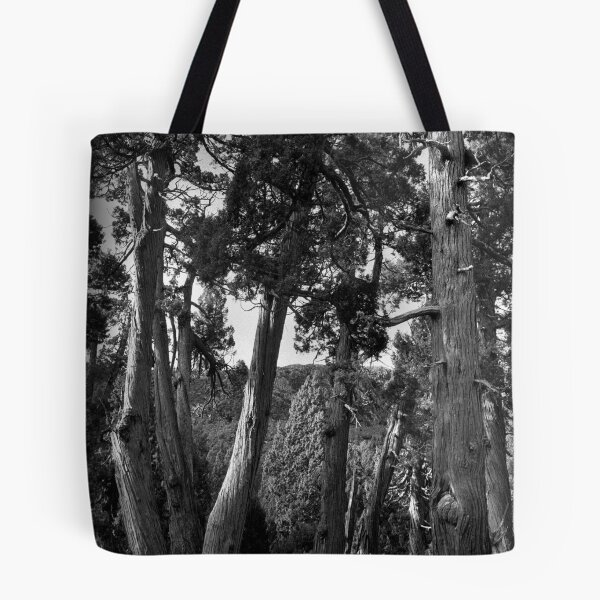 Item preview, Pencil Pine Grove, Dixon's Kingdom, Tasmania designed and sold by Andrew Smyth.