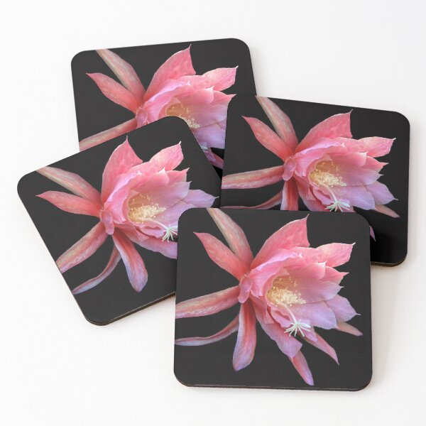 Item preview, Cactus Flower  designed and sold by heatherfriedman.