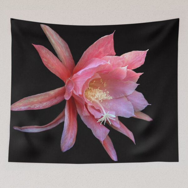Item preview, Cactus Flower  designed and sold by heatherfriedman.