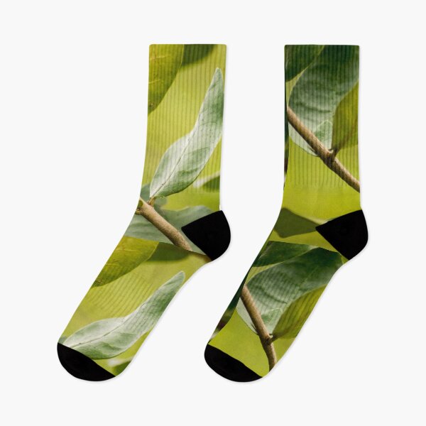 Item preview, klb baldo leaf designed and sold by pcfyi.
