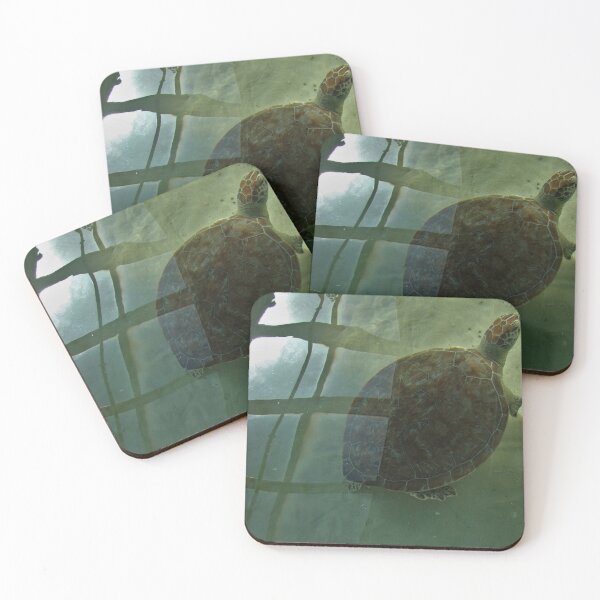 Item preview, Mr. Turtle designed and sold by AGODIPhoto.