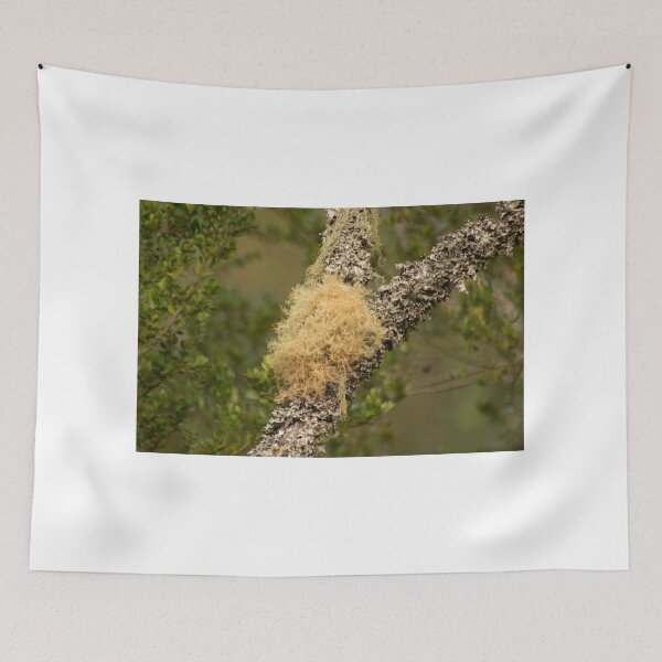 Item preview, klb fine ushnea designed and sold by pcfyi.