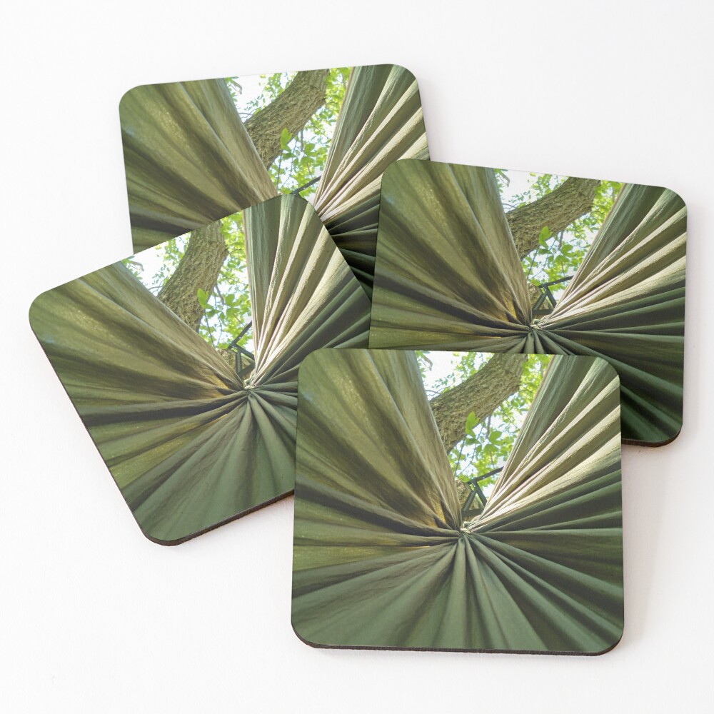 Item preview, Coasters (Set of 4) designed and sold by JRobinWhitley.