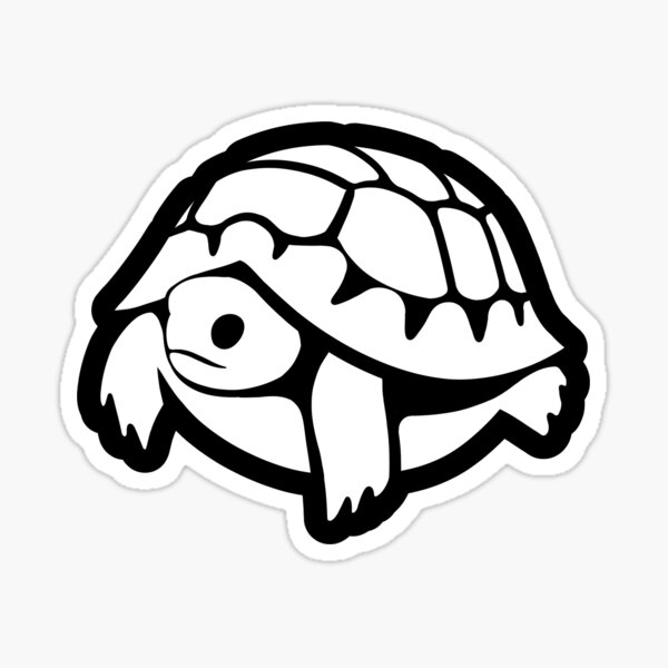 Easy Turtle Drawing | TikTok