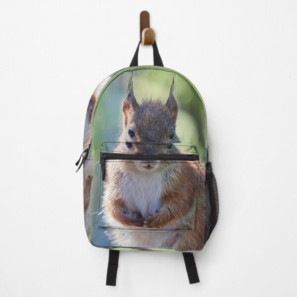 Item preview, Wet face day. Eurasian red squirrel designed and sold by Jouko Lehto Photography.