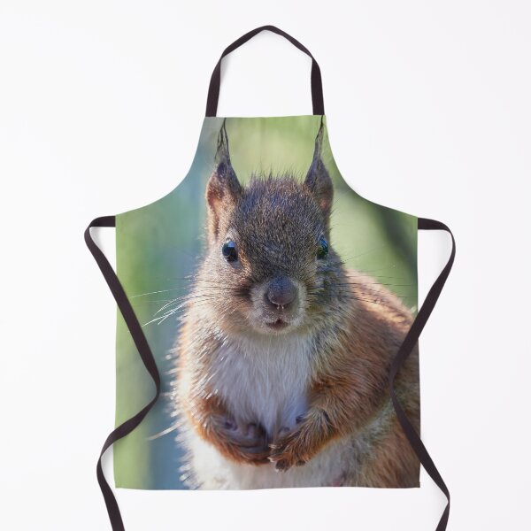 Item preview, Wet face day. Eurasian red squirrel designed and sold by Jouko Lehto Photography.