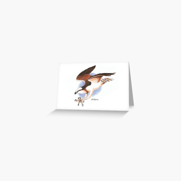 Osprey Greeting Card