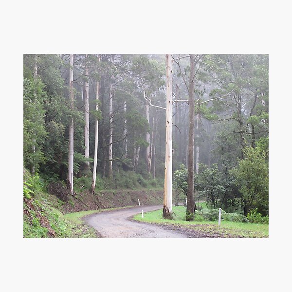 Photographic Print