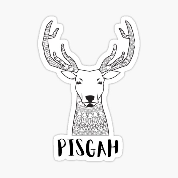 Pisgah National Forest Trees 3 Vinyl Sticker – Starfangled Press