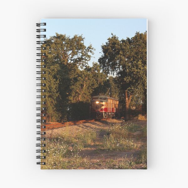 Item preview, MLW ALCO FPA4 Train surrounded by trees and in the Sunset Glow designed and sold by Wernher Krutein.