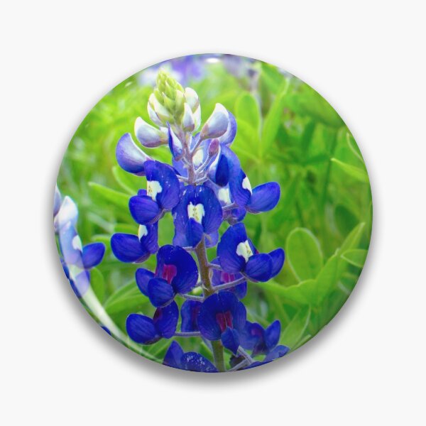 Item preview, Bluebonnet Field designed and sold by seatheskies.
