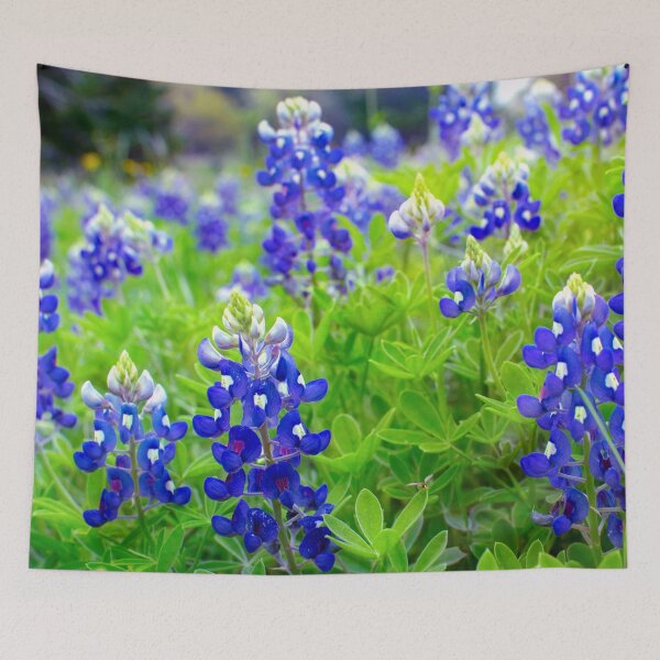 Item preview, Bluebonnet Field designed and sold by seatheskies.