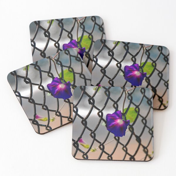 Item preview, Morning Glory designed and sold by John Schneider.