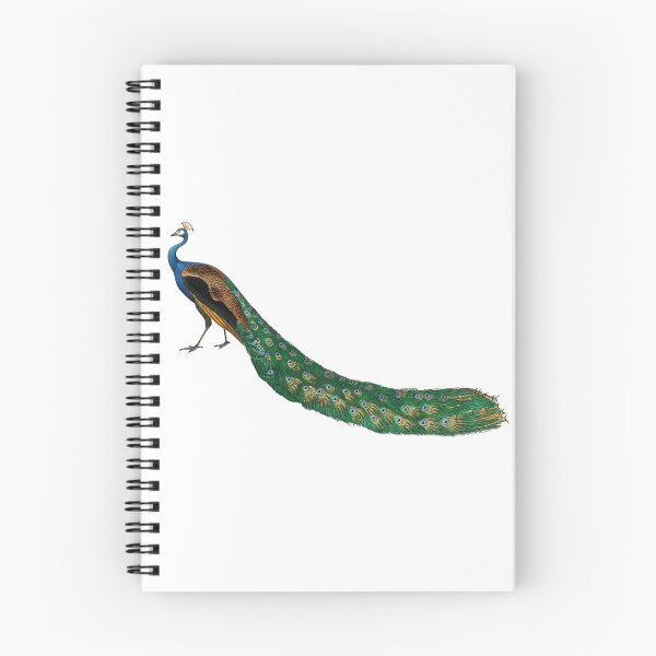 Artikelvorschau, Vintage Pfau-Illustration entworfen und verkauft von Introvert Corner.