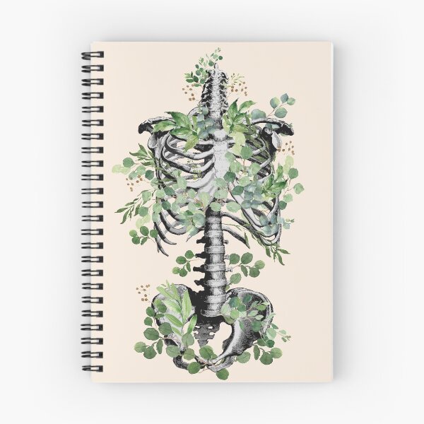 Item preview, Botanical anatomy, rib cage, pelvis, eucalyptus leaves floral skeleton designed and sold by Collagedream.