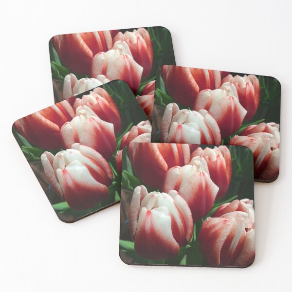 Item preview, Red and white tulips  designed and sold by JuliVogel.