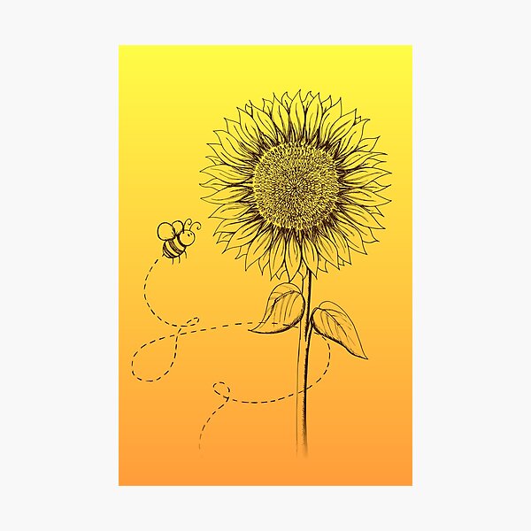 Photographic Print