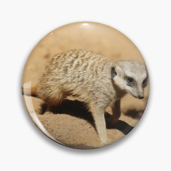 Artikelvorschau, Meerkat 050 entworfen und verkauft von JAMFoto.