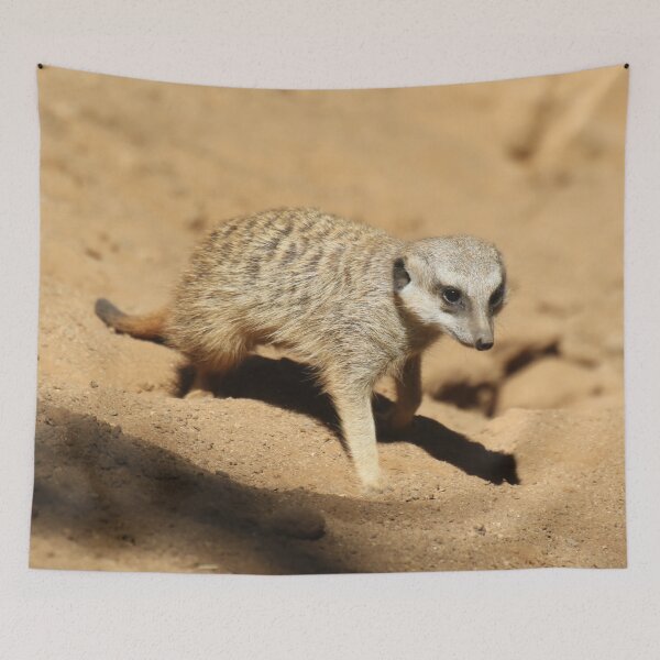 Item preview, Meerkat 050 designed and sold by JAMFoto.