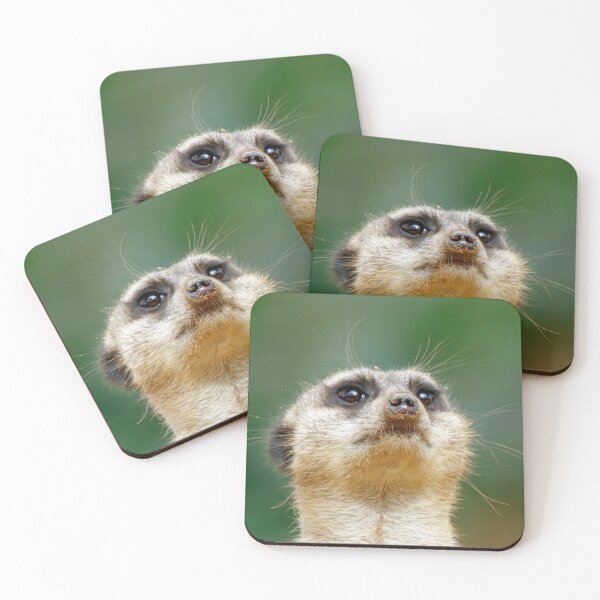 Item preview, Meerkat 051 designed and sold by JAMFoto.
