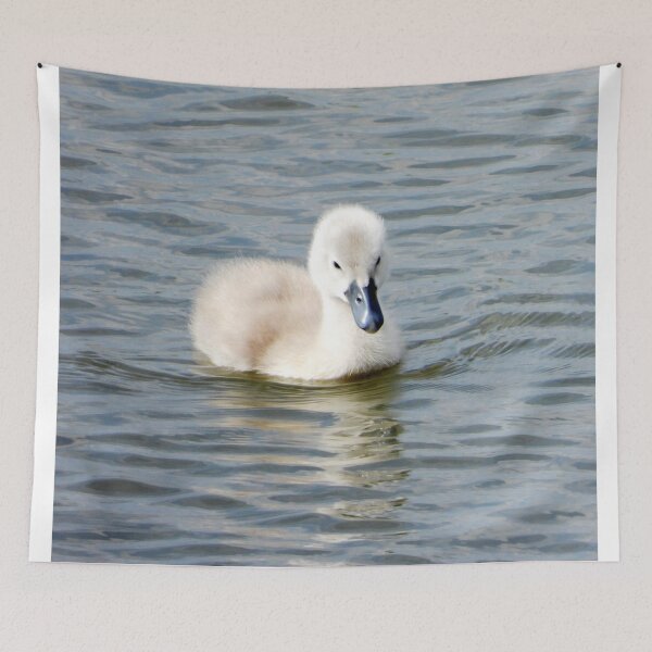 Item preview, A Beautiful Little Cygnet Swan designed and sold by Karen Thomson.