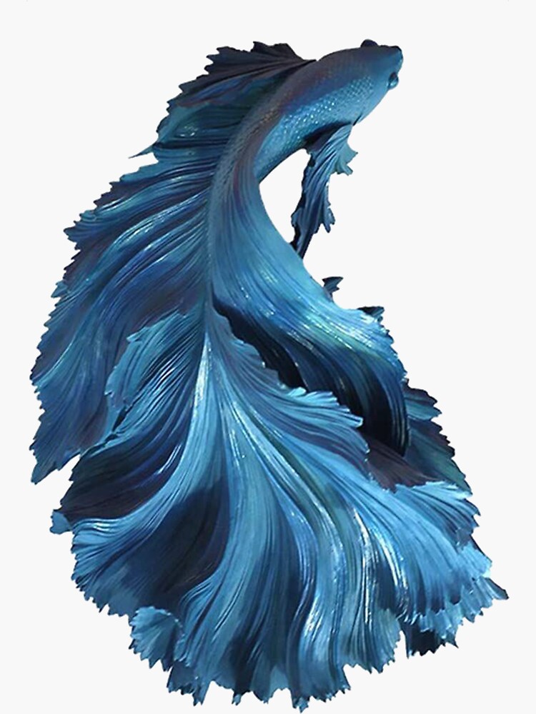 Blue fish by Manaas