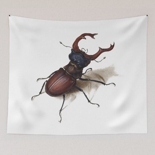 Item preview, Stag Beetle by Joris Hoefnagel designed and sold by digitalvintage.