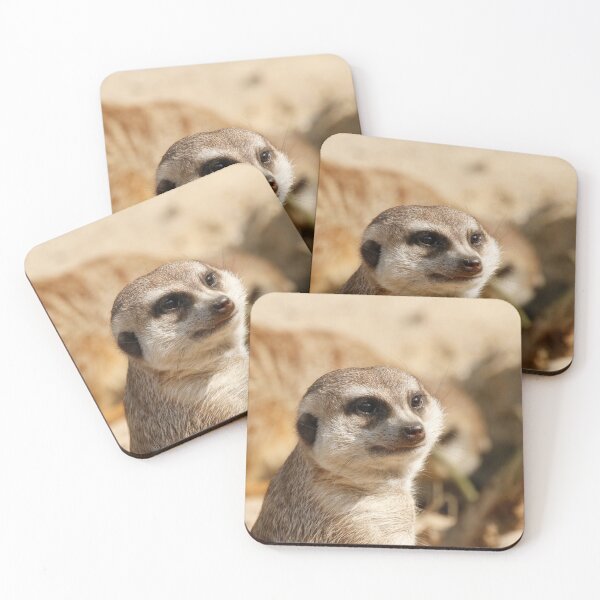 Item preview, Meerkat 052 designed and sold by JAMFoto.