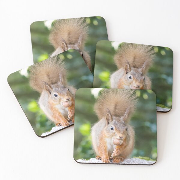 Item preview, Squirrelling away my nuts designed and sold by Roz Goodman.