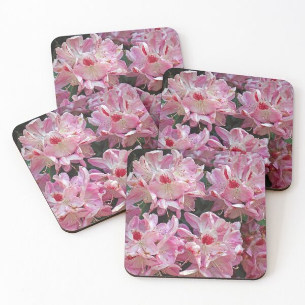 Item preview, Somewhere in Somerset, May 2021 designed and sold by RedHillDigital.