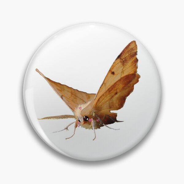 Item preview, Kawaii Moth designed and sold by JustSomeWorms.