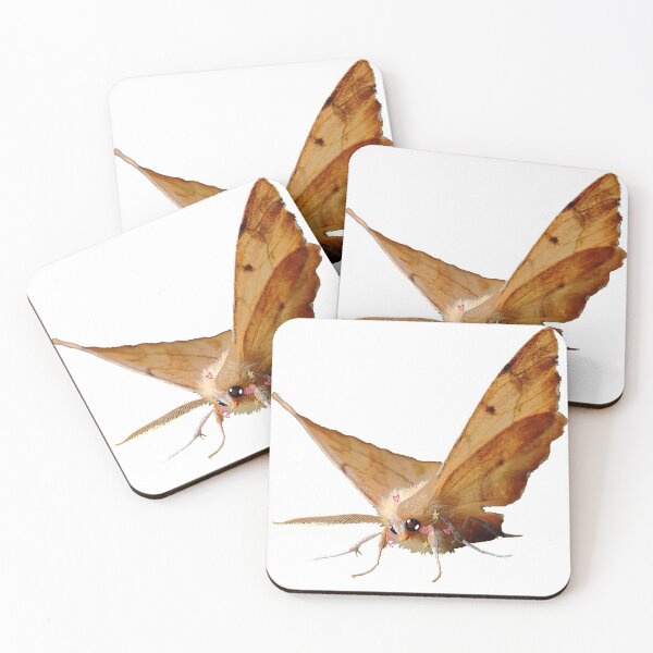 Item preview, Kawaii Moth designed and sold by JustSomeWorms.