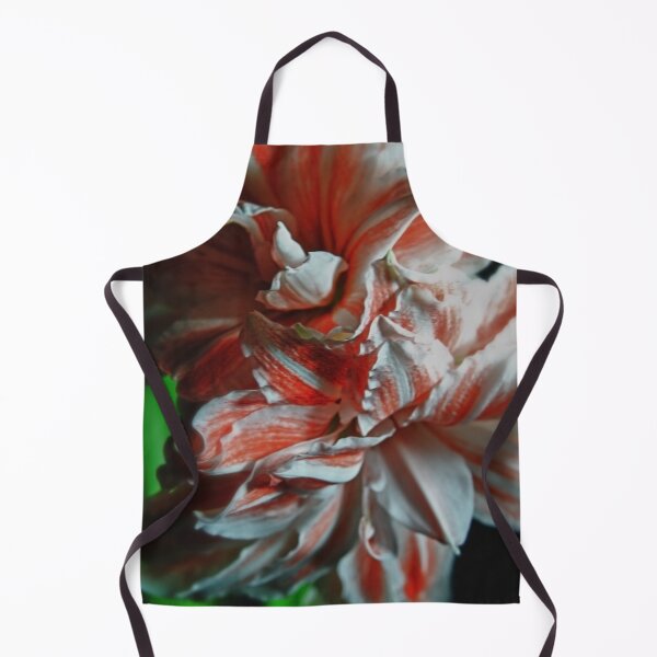 Item preview, Amaryllis Portrait designed and sold by bloomingvine.