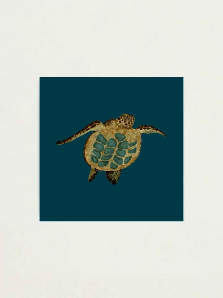 6 Sea Turtles Procreate Brush Stamps. Ocean Turtle (2777628)