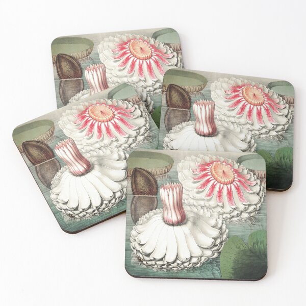Item preview, Victoria Regia Vintage Gigantic Water Lily by William Sharp designed and sold by digitalvintage.