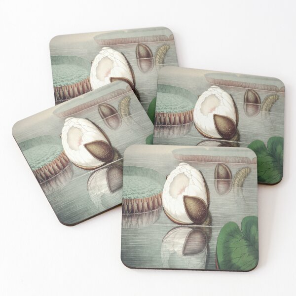 Item preview, Victoria Regia Vintage Gigantic Water Lily by William Sharp designed and sold by digitalvintage.
