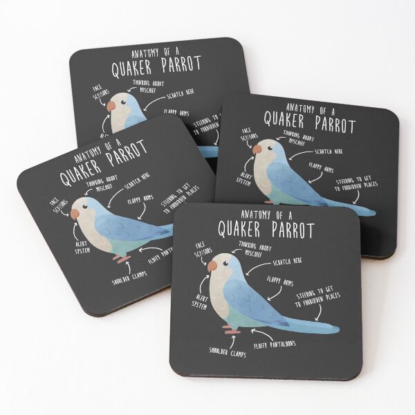 Item preview, Blue Quaker Anatomy designed and sold by Clara Hollins.